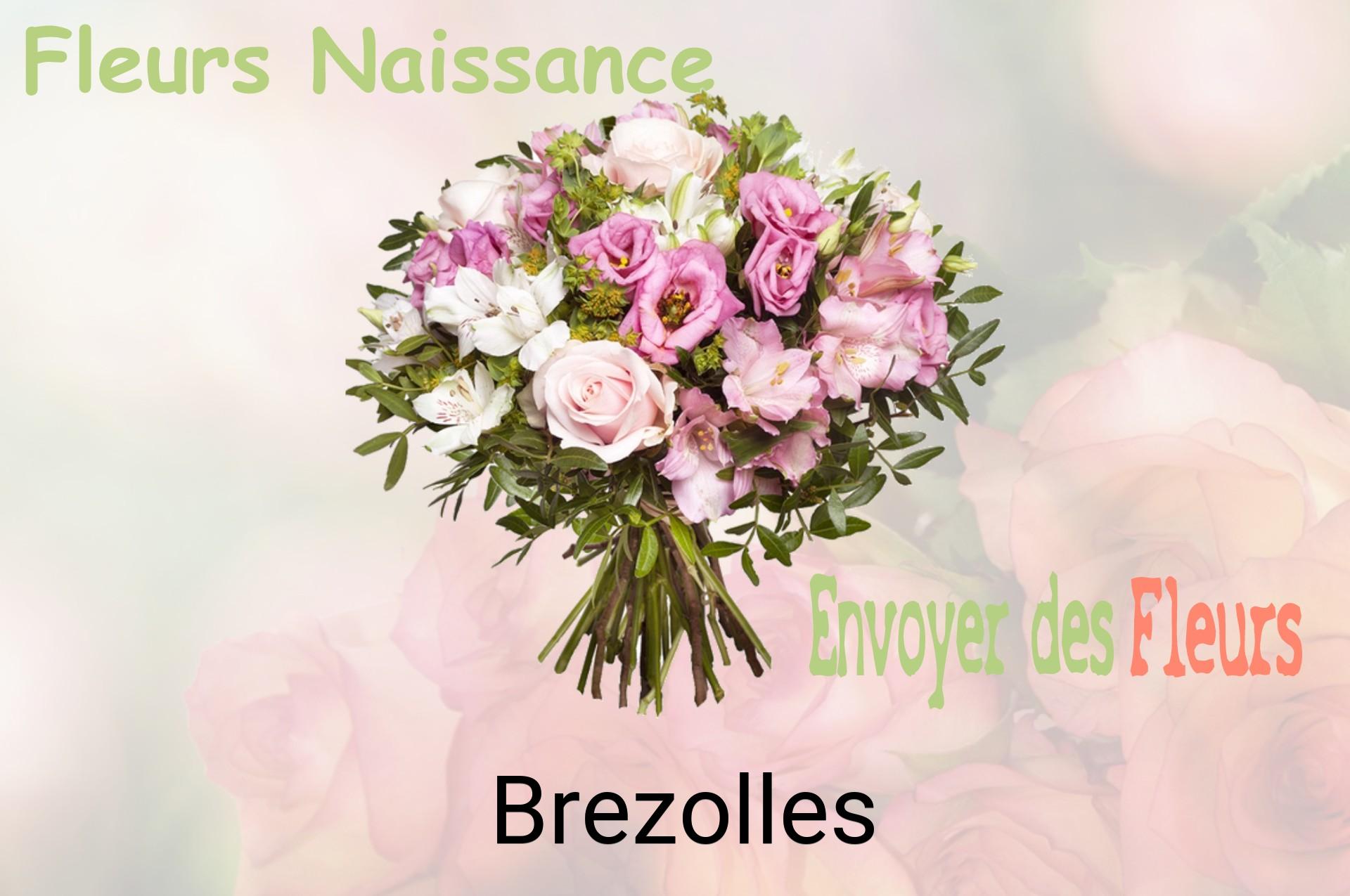 Bouquet de fleurs de naissance livré à Brezolles